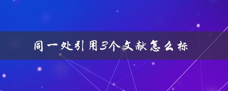 同一处引用3个文献怎么标