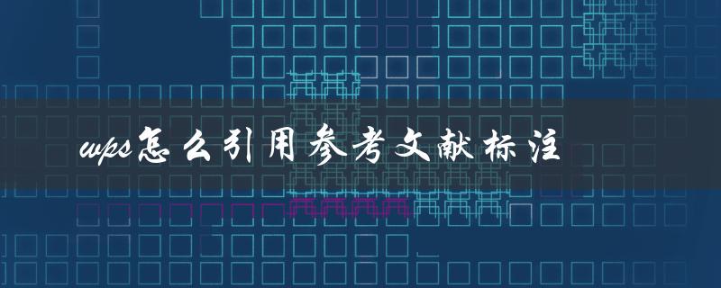 wps怎么引用参考文献标注