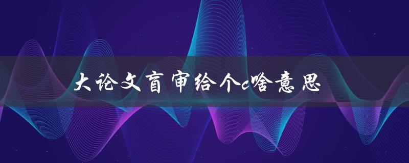 大论文盲审给个c啥意思(盲审评分标准解析)