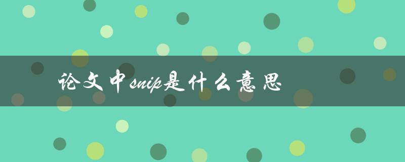 论文中snip是什么意思