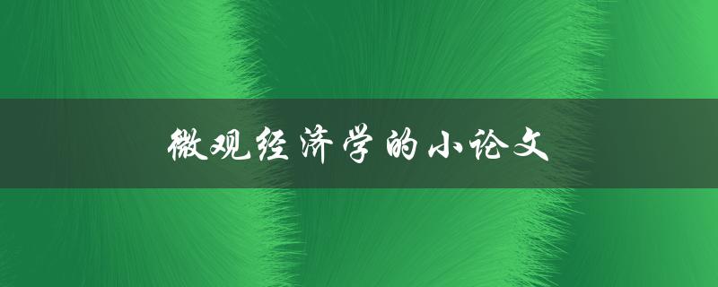 微观经济学的小论文(如何写出高质量的微观经济学论文)