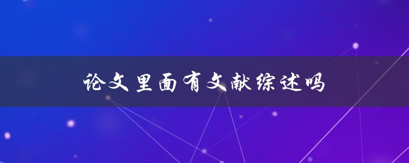 论文里面有文献综述吗