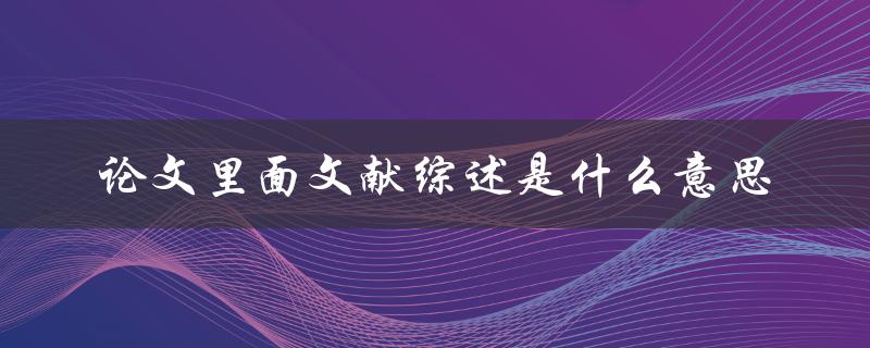 论文里面文献综述是什么意思