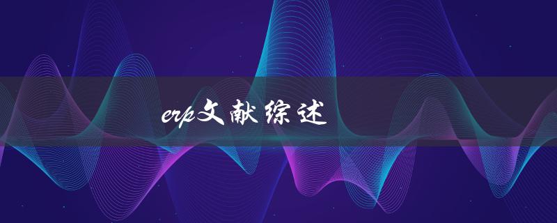 ERP文献综述(有哪些值得推荐的研究成果)