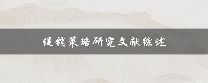 如何综述促销策略研究文献
