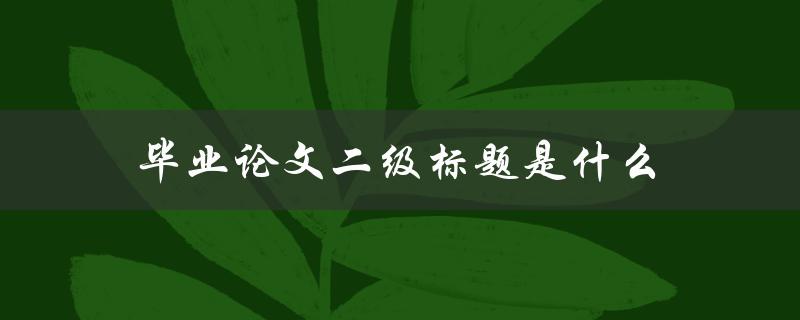 毕业论文二级标题是什么