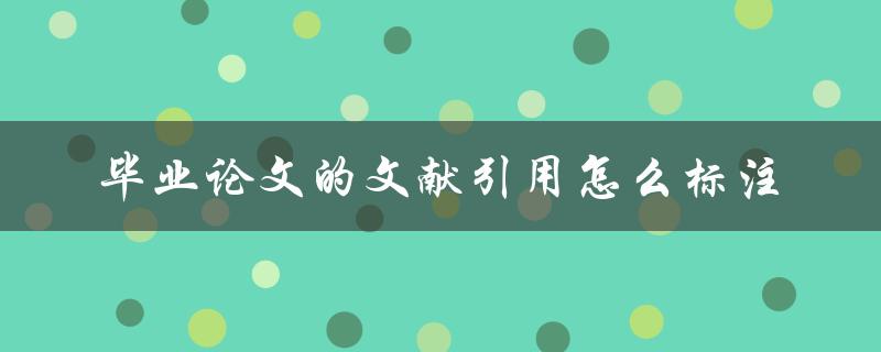 毕业论文的文献引用怎么标注