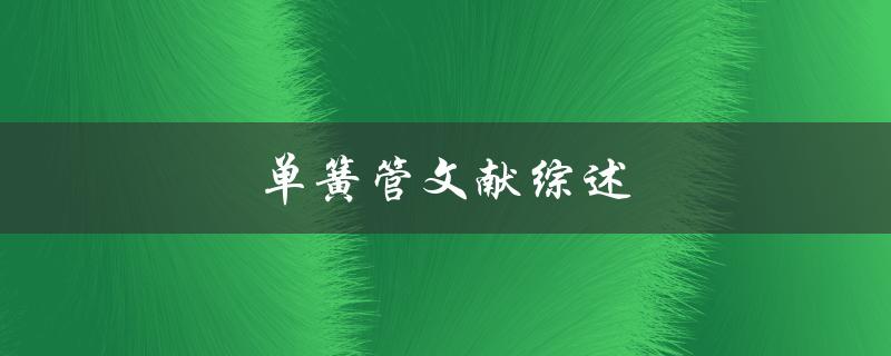 单簧管文献综述(了解单簧管演奏的历史和技巧)