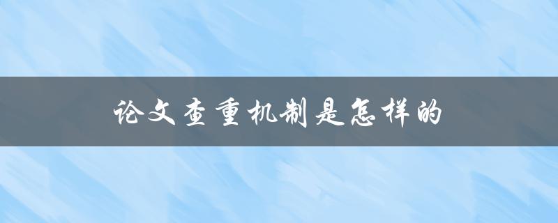 论文查重机制是怎样的