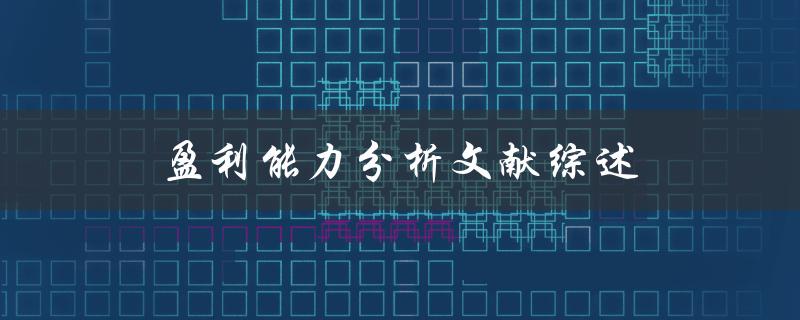 什么是盈利能力分析？有哪些文献综述可以了解盈利能力分析
