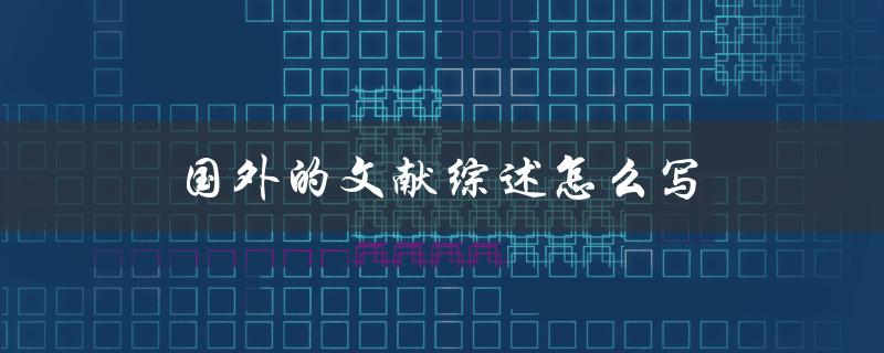 国外的文献综述怎么写