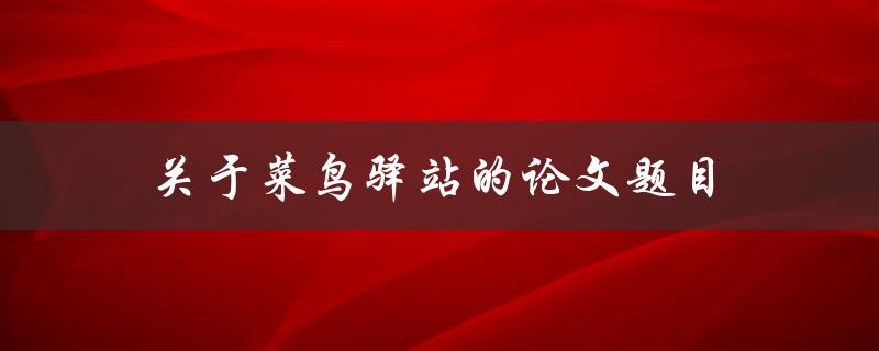 关于菜鸟驿站的论文题目(如何提高快递配送效率)