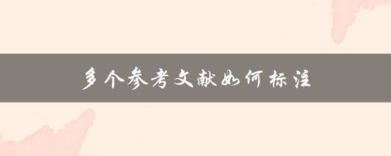 多个参考文献如何标注(应该采用哪种格式)