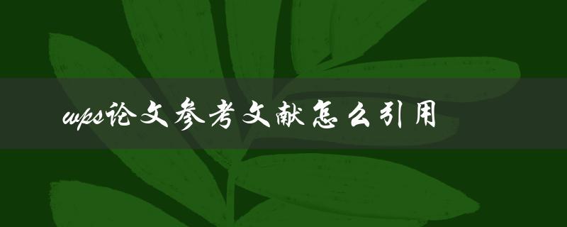 wps论文参考文献怎么引用
