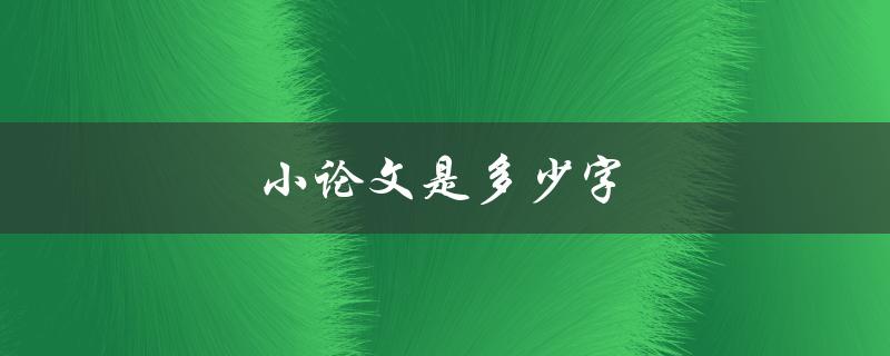 小论文是多少字(一般需要达到多少字数要求)