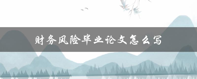 财务风险毕业论文怎么写