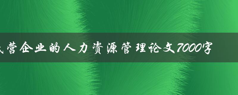 民营企业的人力资源管理论文7000字