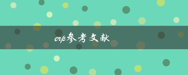 ERP参考文献(哪些经典文献值得阅读)