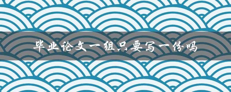 毕业论文一组只要写一份吗