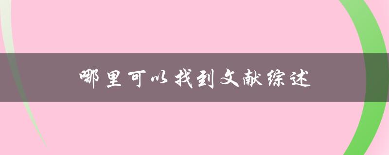 哪里可以找到文献综述
