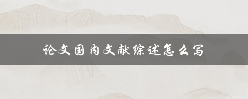 论文国内文献综述怎么写