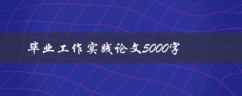 毕业工作实践论文5000字