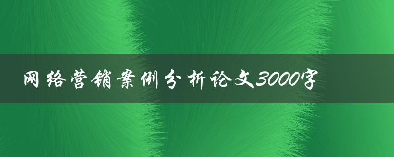 网络营销案例分析论文3000字