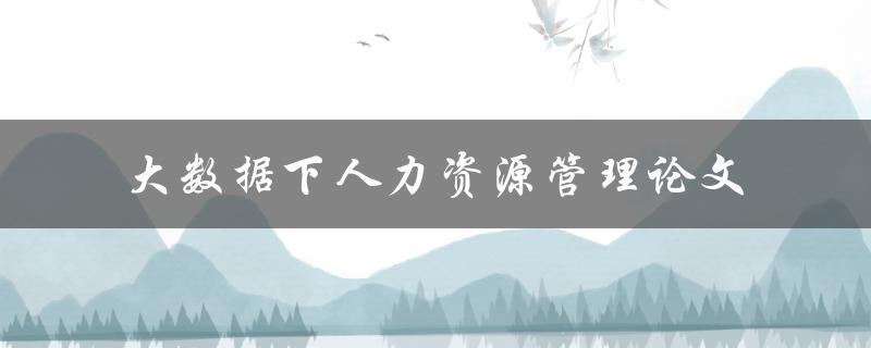 如何在大数据时代下优化人力资源管理？——基于论文研究的探讨