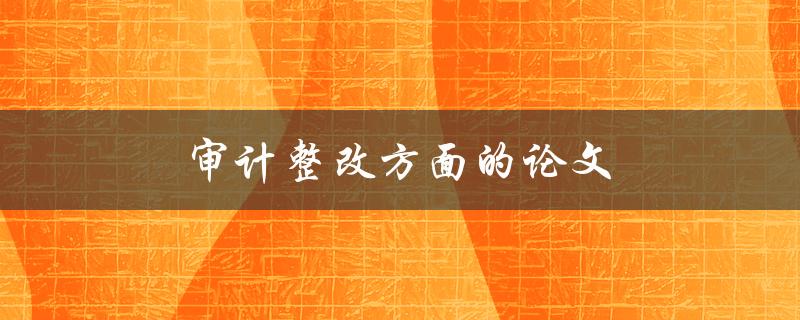 审计整改方面的论文(如何撰写高质量的研究论文)