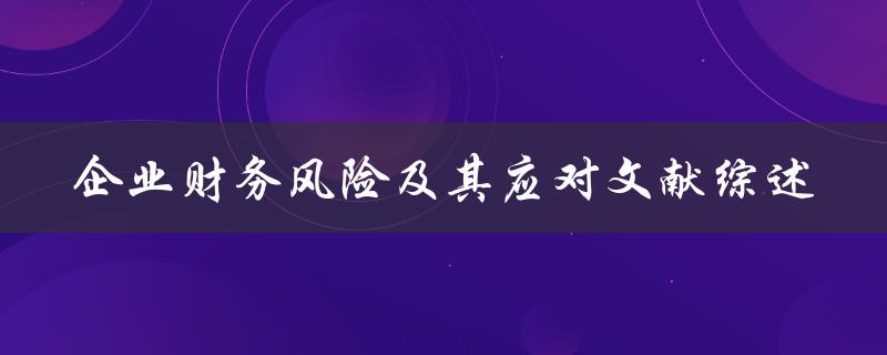 企业财务风险及其应对文献综述