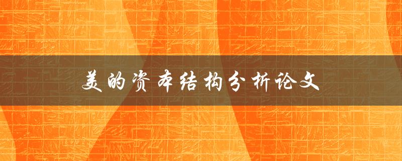 美的资本结构分析论文(如何评估公司的财务稳定性)