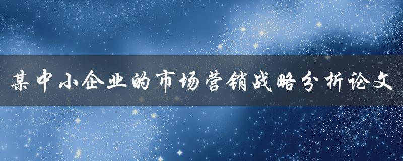 某中小企业的市场营销战略分析论文