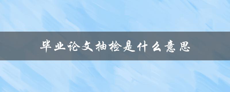 毕业论文抽检是什么意思
