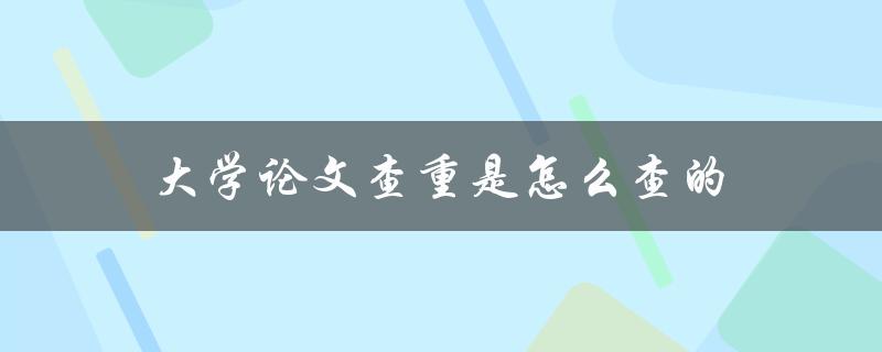 大学论文查重是怎么查的