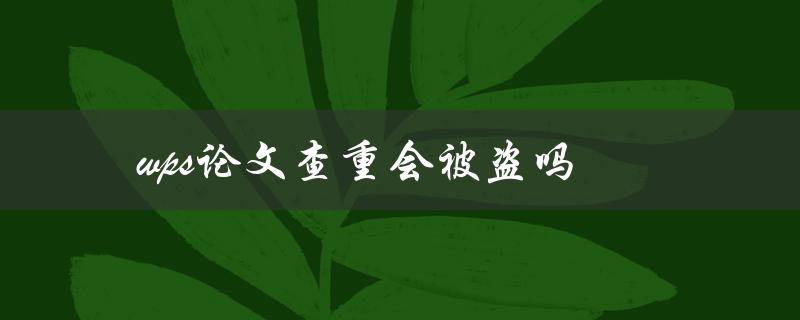 wps论文查重会被盗吗(如何保障个人隐私安全)