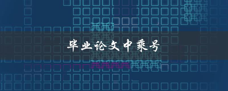 毕业论文中乘号(应该如何使用？)