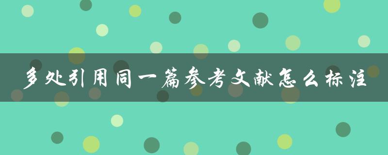 多处引用同一篇参考文献怎么标注