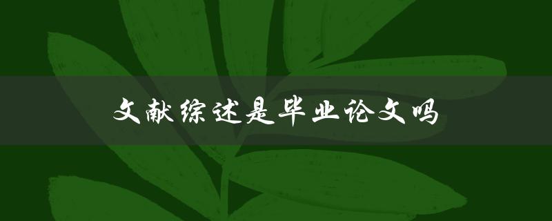 文献综述是毕业论文吗