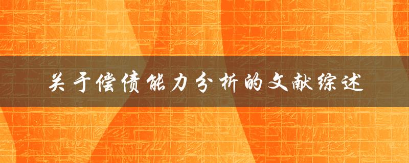 关于偿债能力分析的文献综述