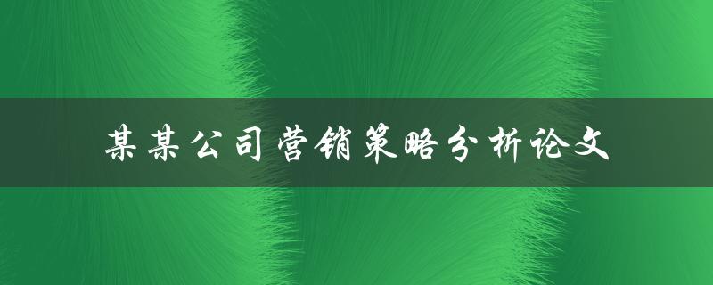 如何分析某某公司的营销策略？——某某公司营销策略分析论文