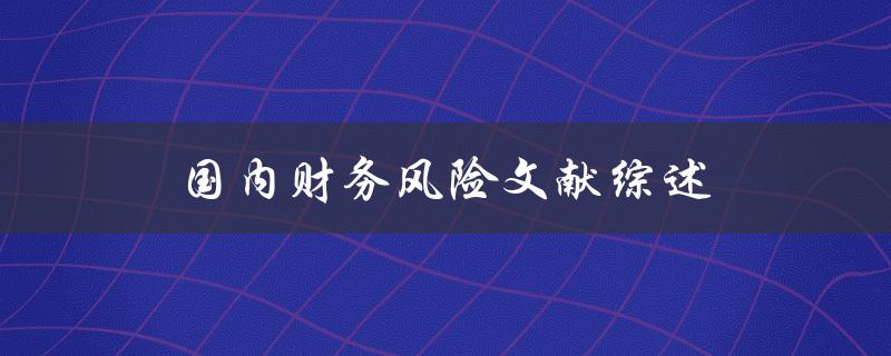 国内财务风险文献综述哪些风险在财务领域中存在