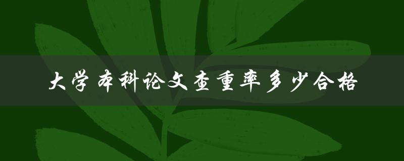 大学本科论文查重率多少合格