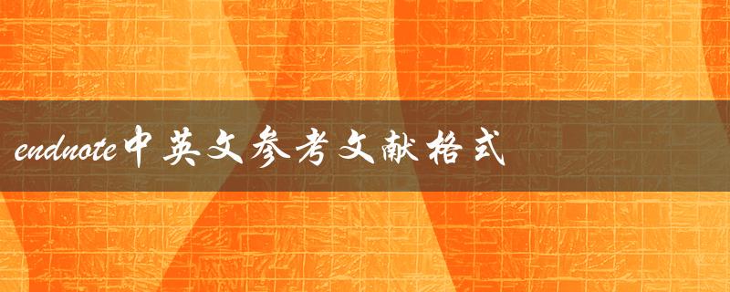 如何在EndNote中使用正确的中英文参考文献格式