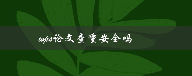 wps论文查重安全吗(使用wps查重是否会泄露个人信息)