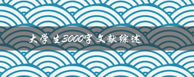 3000字文献综述大学生的学习与发展状况分析