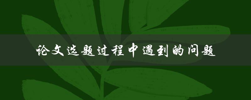 在论文选题过程中，你遇到了哪些问题