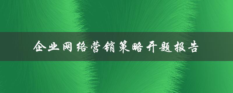 企业网络营销策略开题报告
