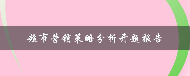 超市营销策略分析开题报告