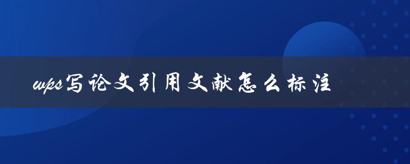 wps写论文引用文献怎么标注