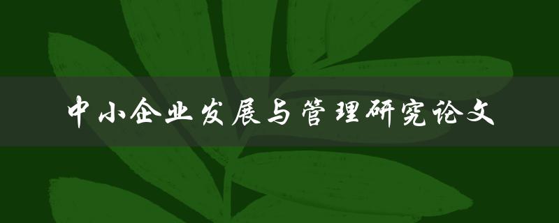 如何进行中小企业发展与管理研究论文的撰写
